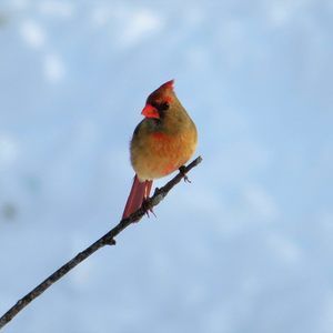 Meet your Posher, Paulette